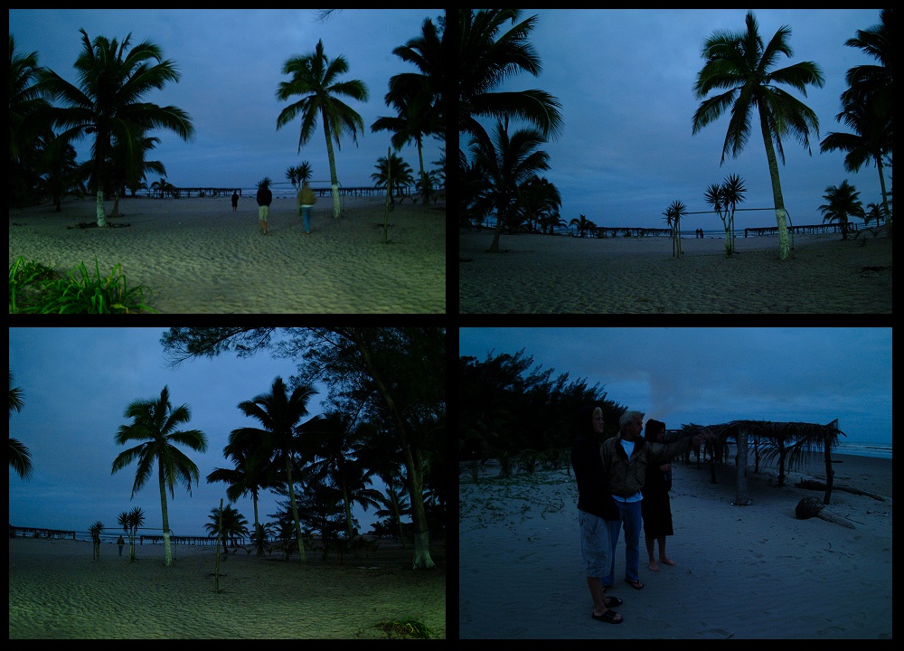 (04) predawn montage (day 4).jpg   (1000x720)   286 Kb                                    Click to display next picture
